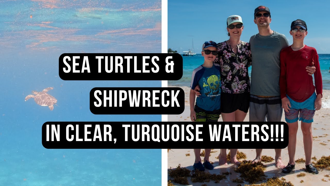 Круизный порт Барбадоса: ЛУЧШИЙ снорклинг с ЧЕРЕПАХАМИ и БЕЛЫМ ПЕСКОМ на пляже!