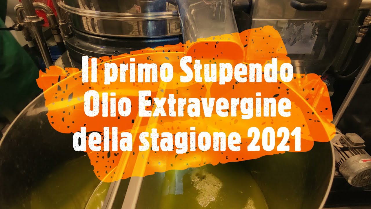 Andiamo al Frantoio con Tecnoliva