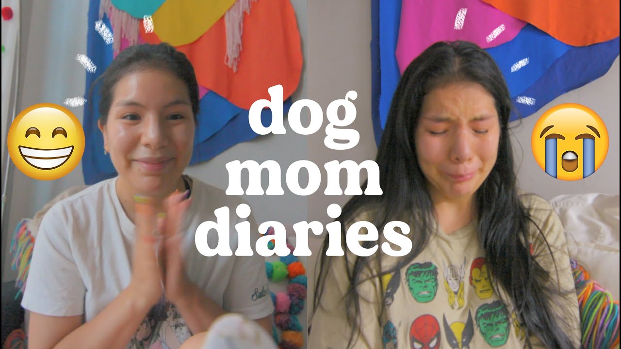 A roller coaster of emotions, the reality of owning a reactive dog | Dog Mom Diaries EP.5
