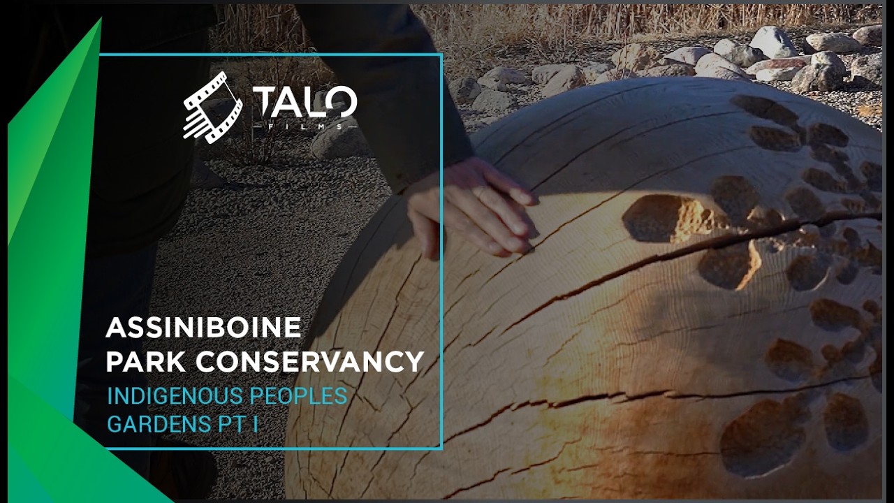 Assiniboine Park Conservancy | Indigenous Peoples Gardens PT I