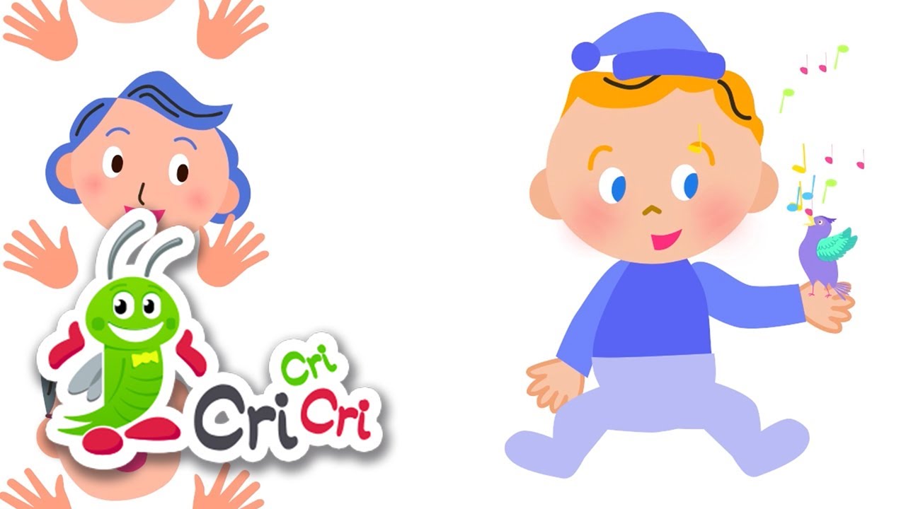 Chipul meu si alte cantecele pentru copii | MIX cantece pentru copii | CriCriCri #cantecepentrucopii