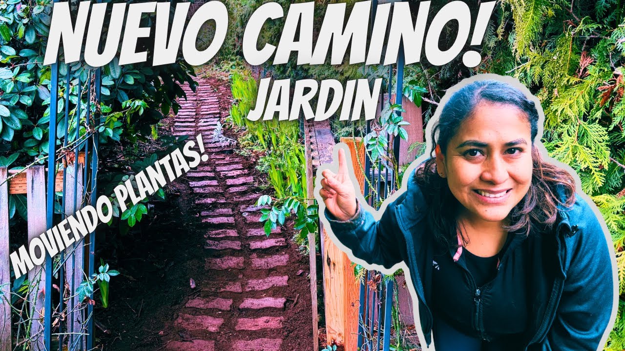 Podando helechos y asiendo un camino nuevo par el jardin de los rododendros 