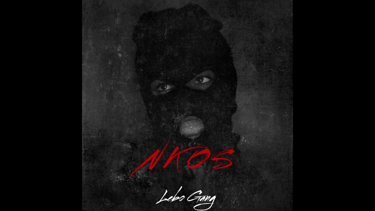 Lebo Gang - Niemand kan ons stopie ( official audio 2026)
