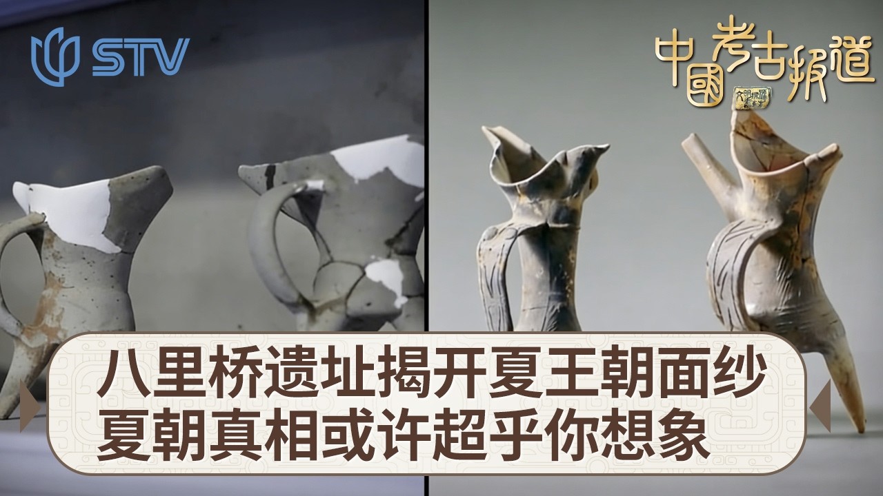 八里桥遗址：藏在南阳盆地的夏代密码，揭开3600年前的王朝秘辛#中国考古报道 FULL