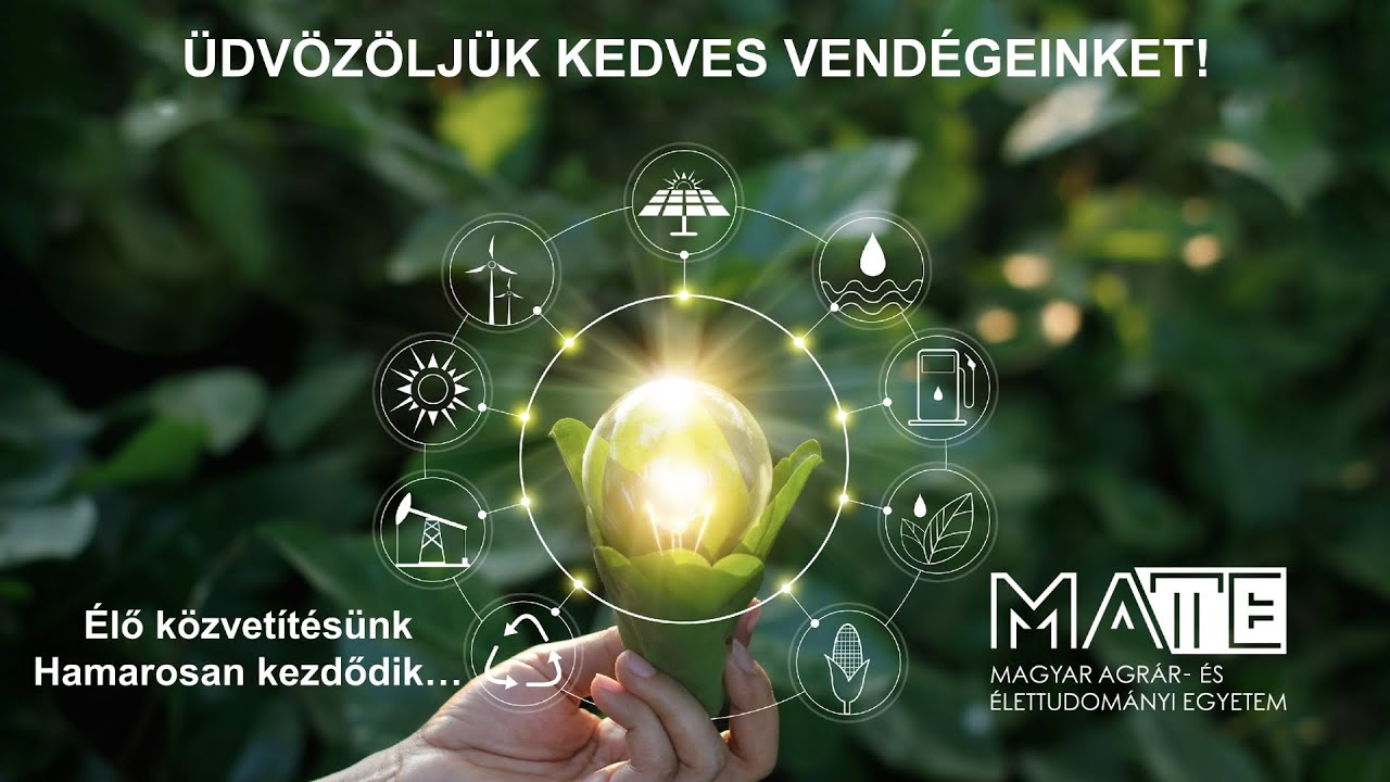 MATE Akadémia - Vajda Zsolt