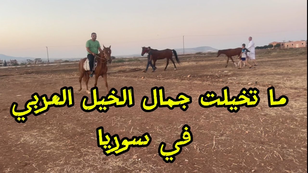جولة في سوريا  - life in Syria 💚✌️💚  | معالم مدينة حماة ج ٣ ( hama 4 )