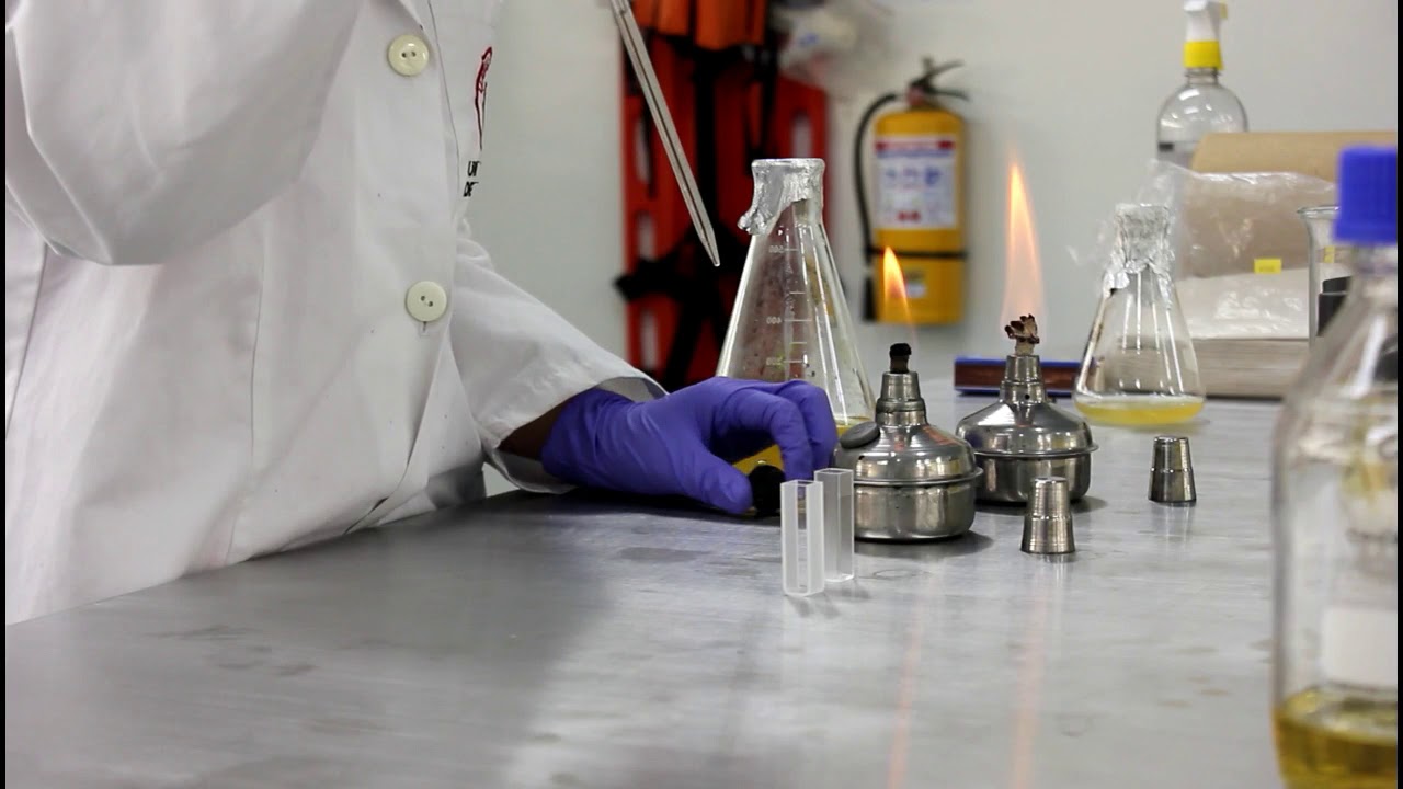 Curva de crecimiento por turbidimetría de (Escherichia coli)