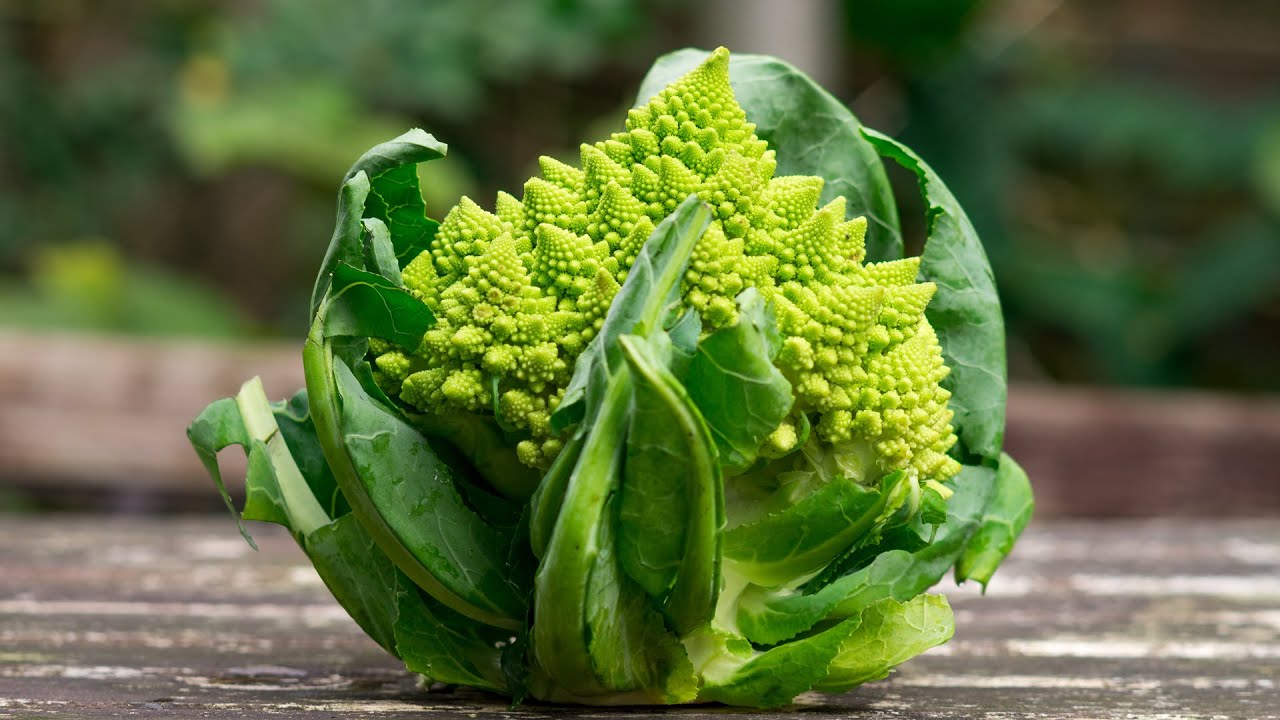 Romanesco: So kocht man ihn richtig | Der Bio Koch