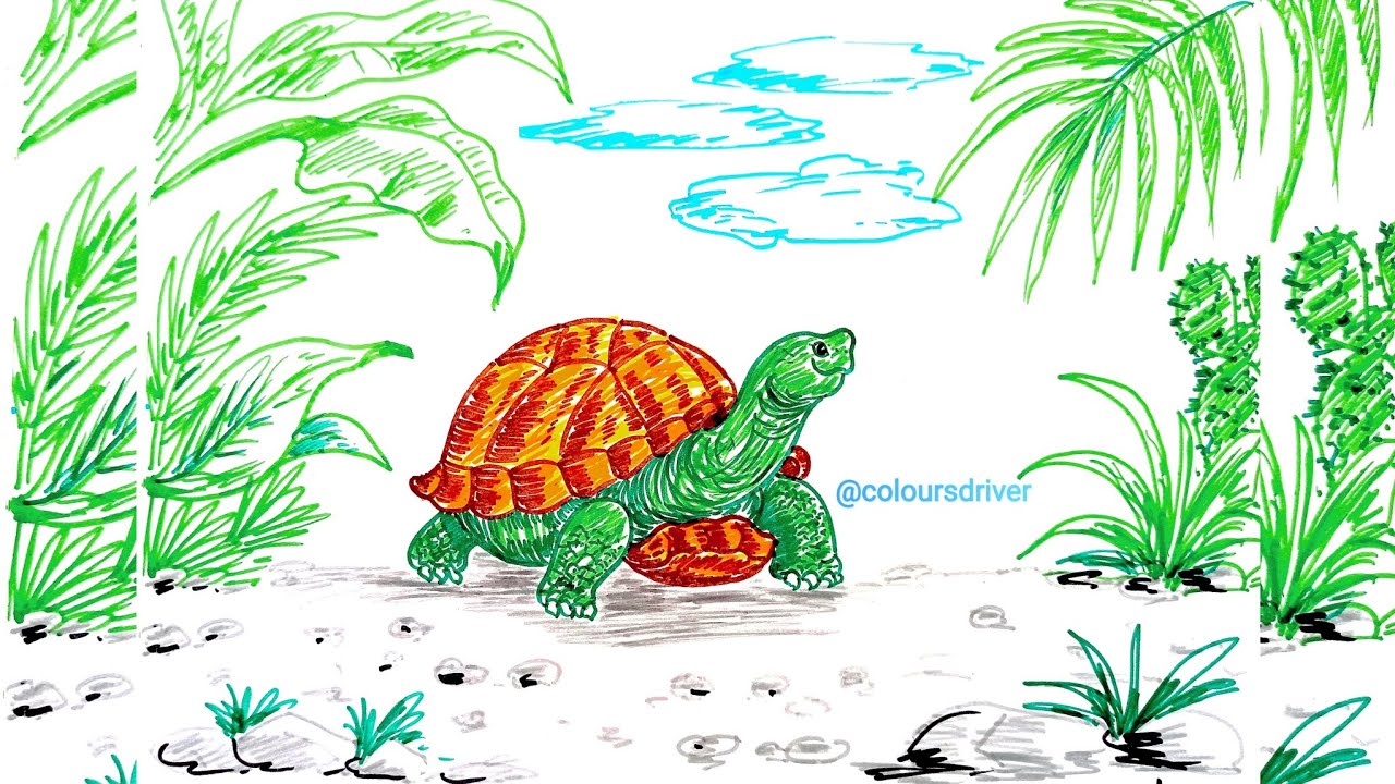 How to draw Tortoise by Sketch Pen | Tortoise Drawing | Turtle Drawing | Sketch Pen Drawing  #sketch
