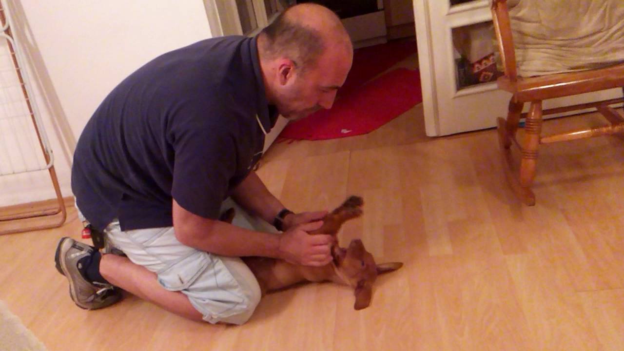 Vesela deca...Rasa i Neca