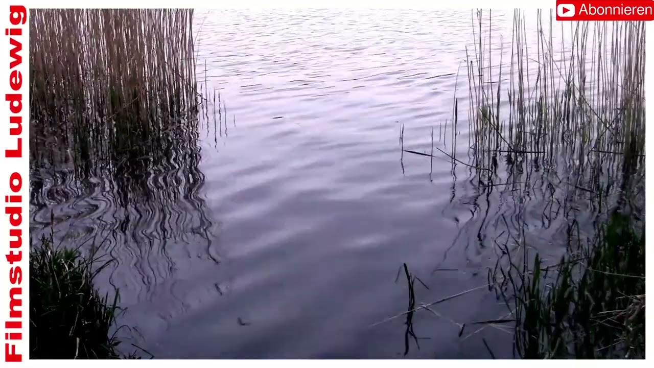 #relaxing no copyrigh #music #ultimate escape for #body and mind I #piano music I #lizenzfreiemusik