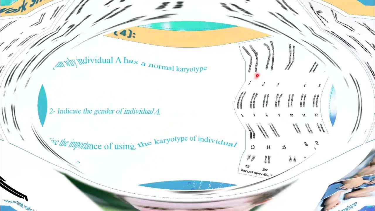 Video 5 G11S LH En Bio Ch 2 Karyotype2 20 21