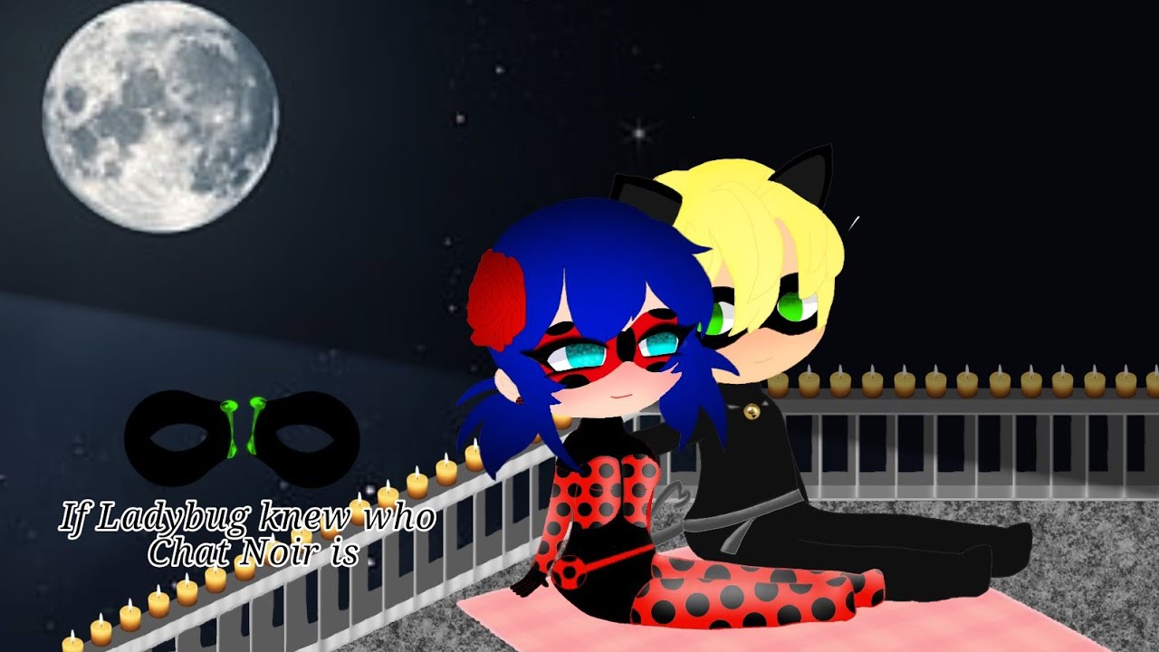 If Ladybug knew who Chat Noir is 🐱❤🐞 *Ladynoir shipped*