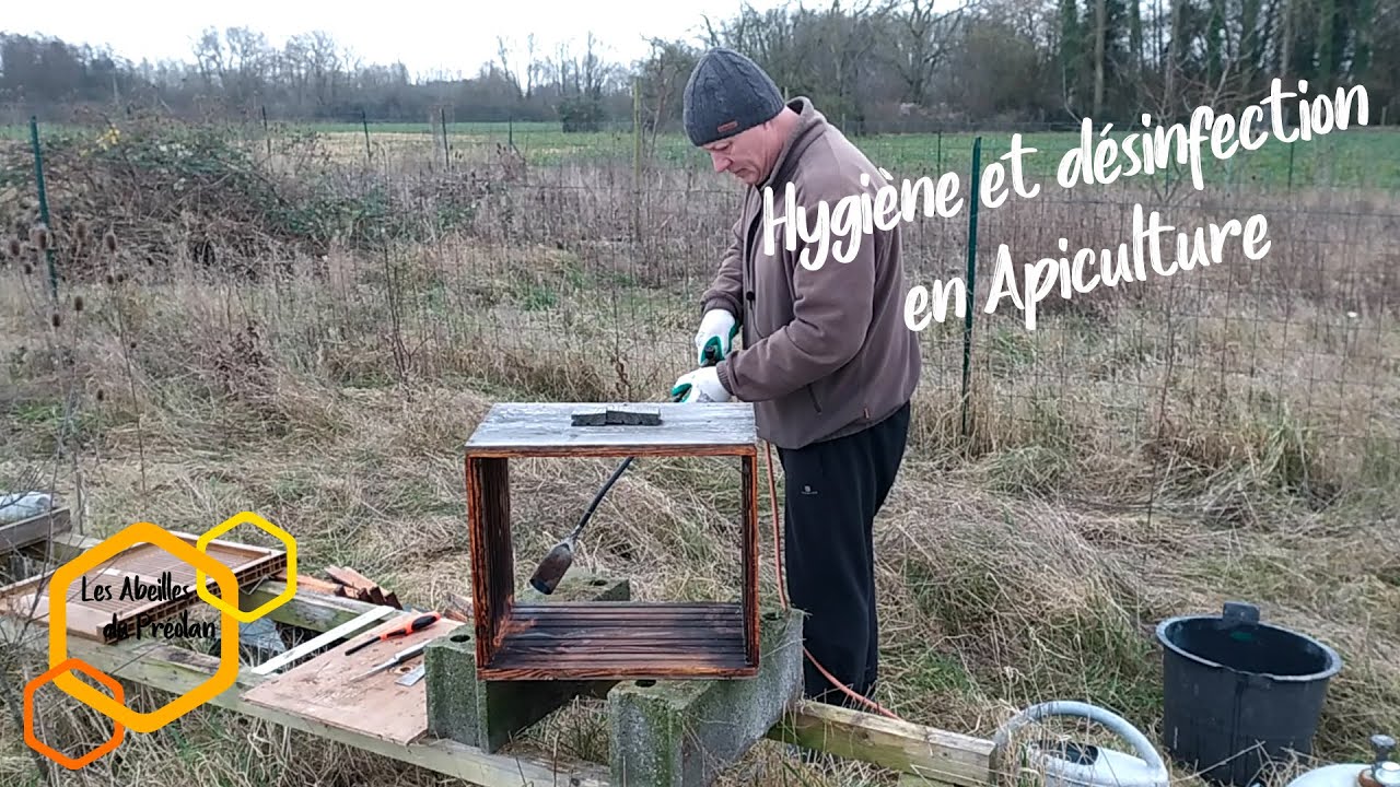 Hygiène et désinfection en Apiculture