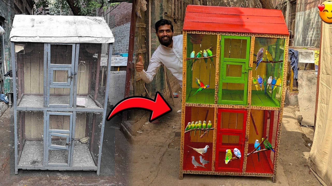 Spend 110 Days To Renovate My Dream Parrot Cage