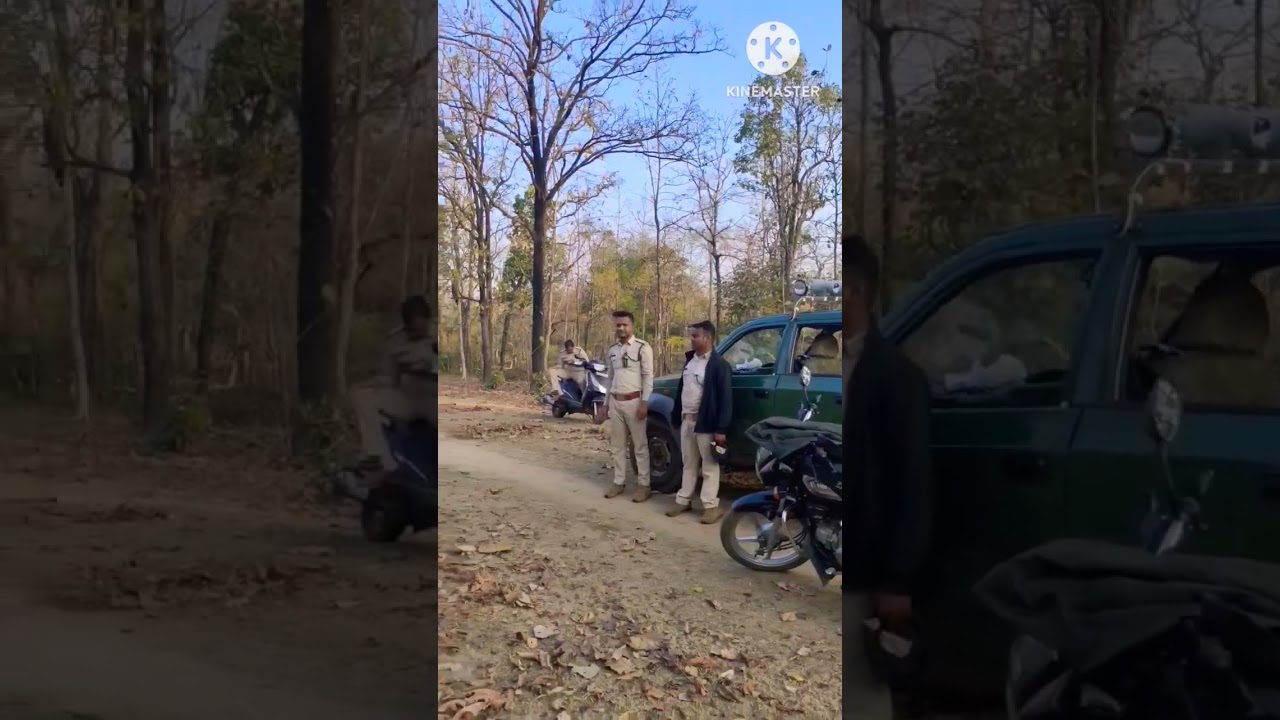 Mp Forest Department Patrolling