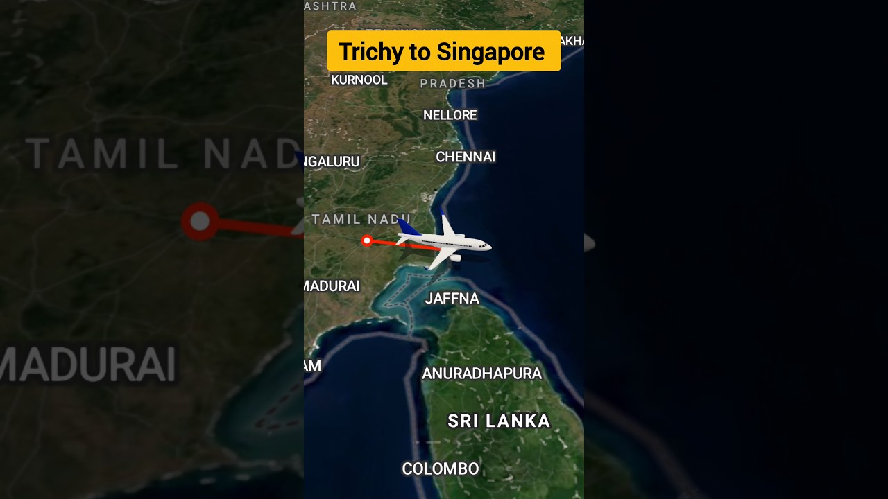 Trichy to Singapore flight travel