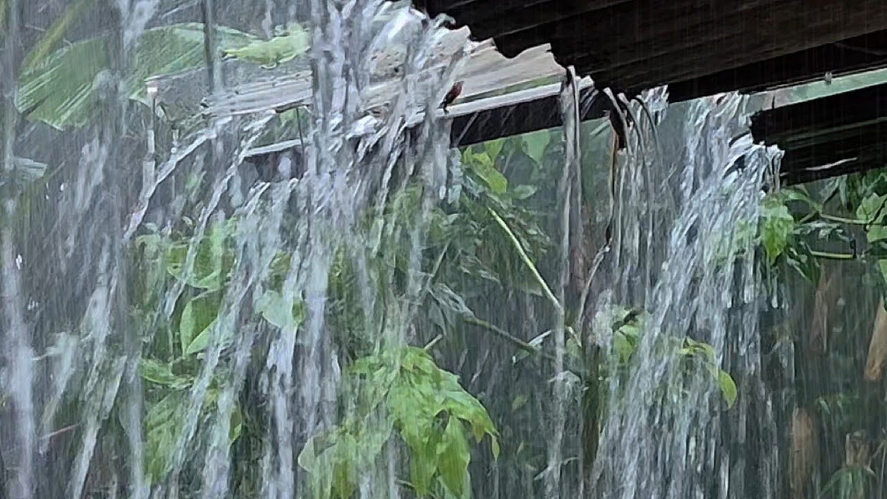 Super Heavy Rain So Intense Your Mind Shuts Down 🌧️ Deep Sleep & Total Relaxation
