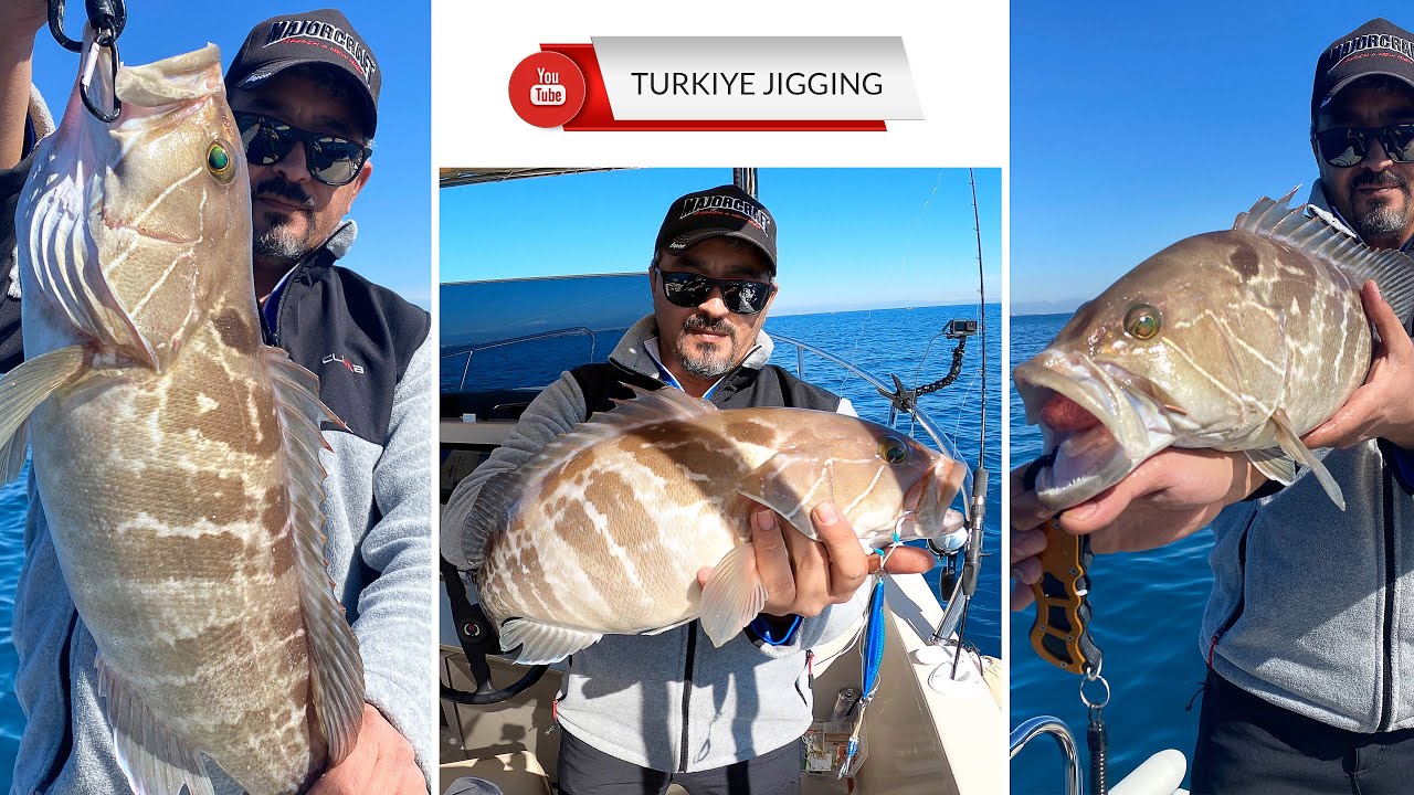 Slow jigle Grida avı