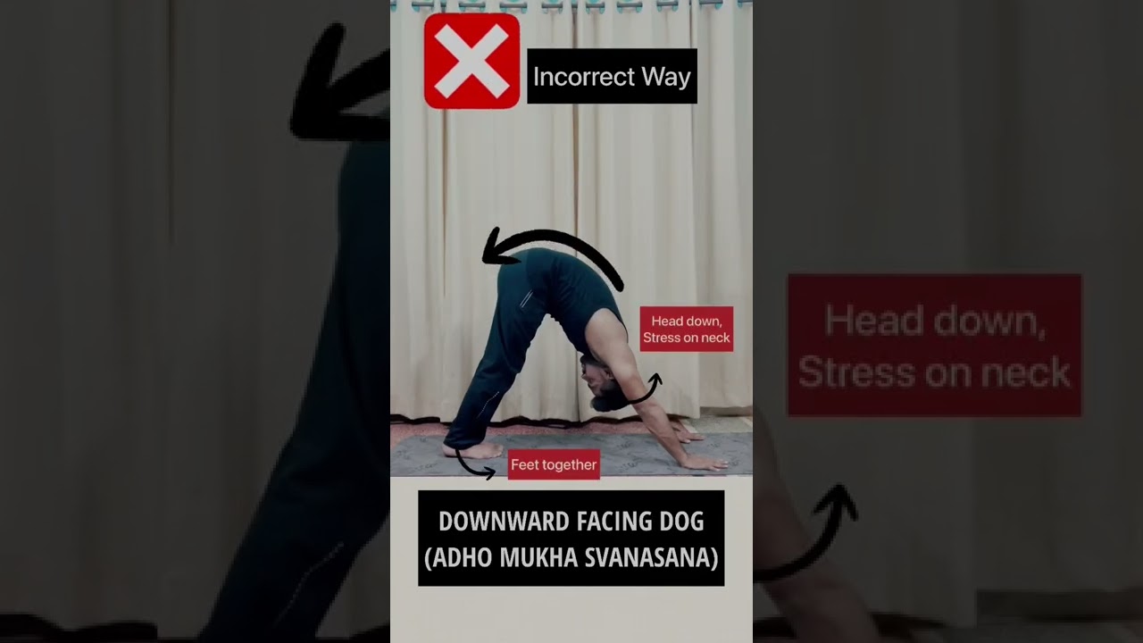 ❌Downward Facing Dog Pose✅ #shorts #downwardfacingdog #adhomukhasvanasana