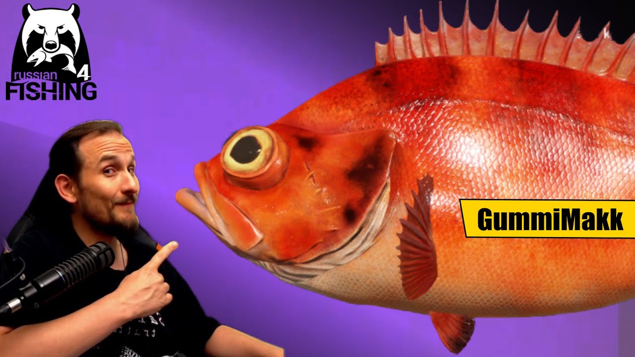 Russian Fishing 4 - Nordmeer - GummiMakk mit Pilk- oder Endblei-Montage?
