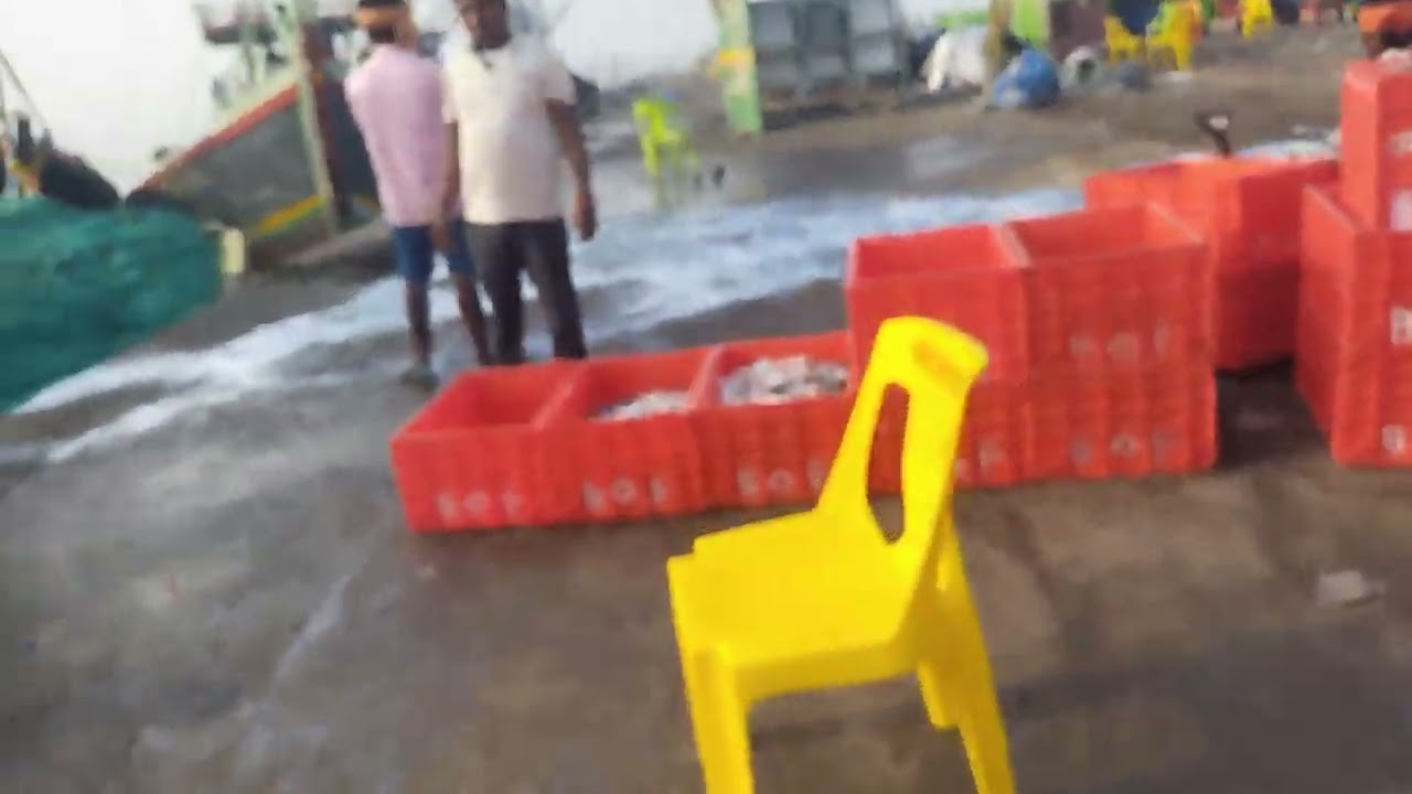 मुंबई मच्छीबंदर🐬🐬🐟🐟🙏