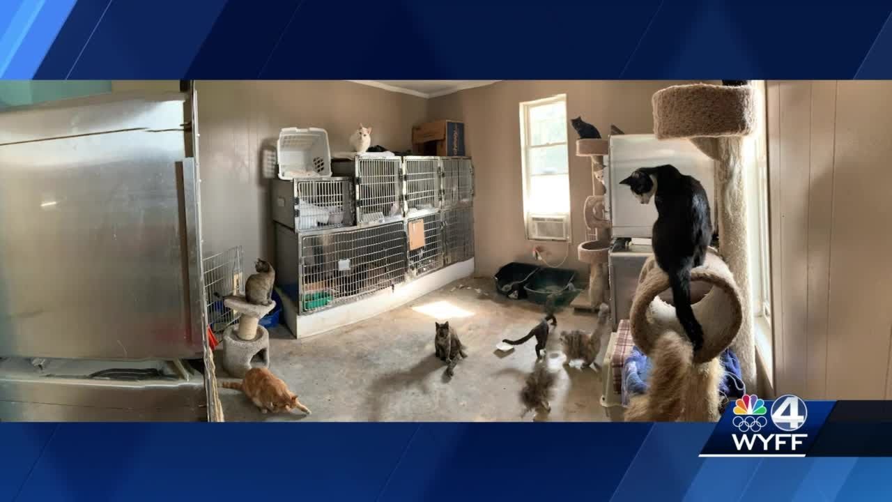 Anderson County investigating animal clinic, director says more vets needed