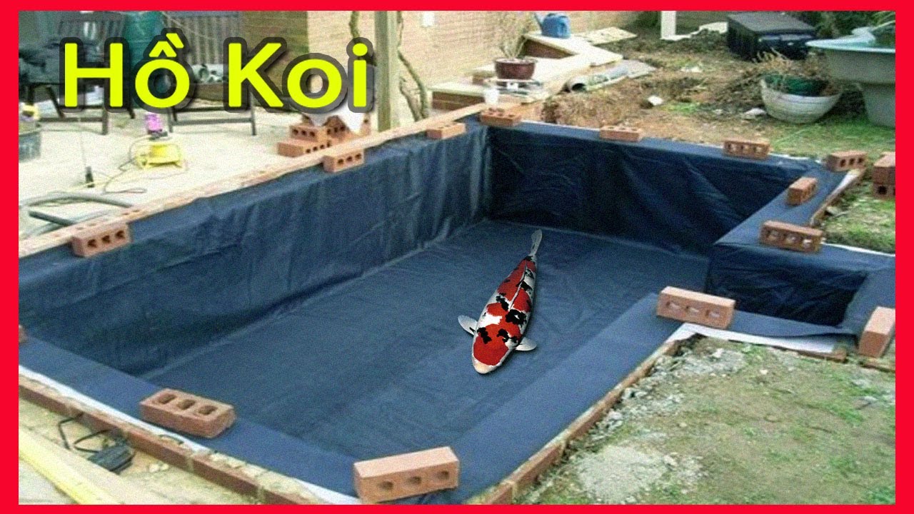 CÁCH LÀM HỒ CÁ GIÁ KOI SIÊU RẺ bằng hdpe