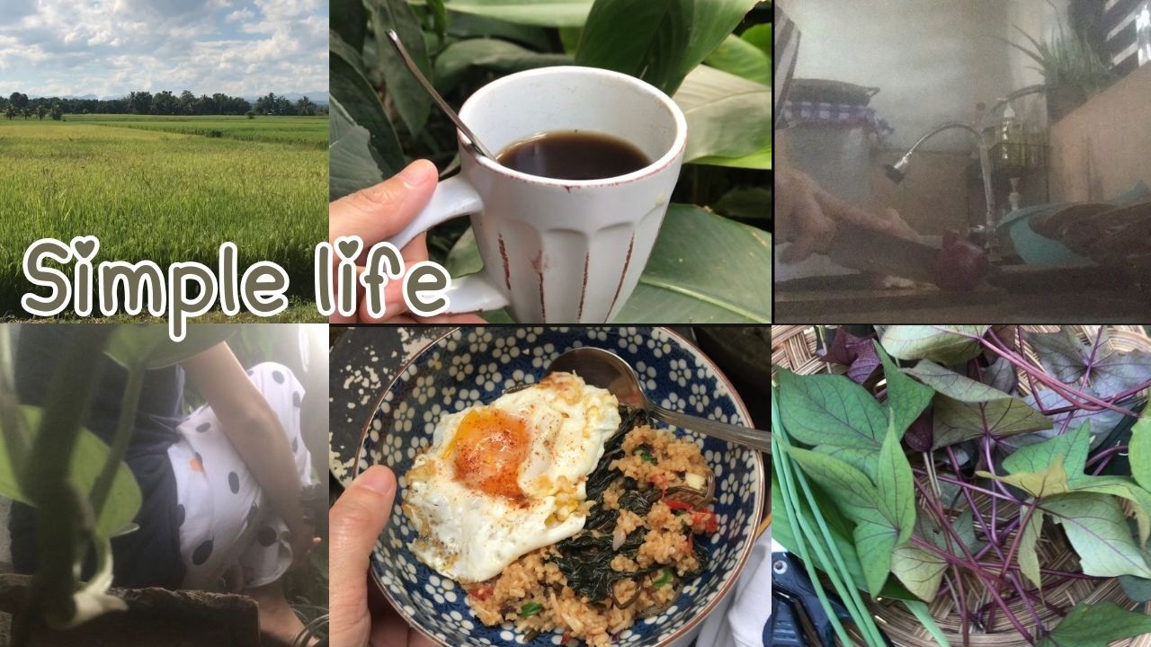 Simple life in the tropics🌺| slow mornings🧘🏻‍♀️ brunch from the garden🍳 rural life👩🏻‍🌾#simpleliving