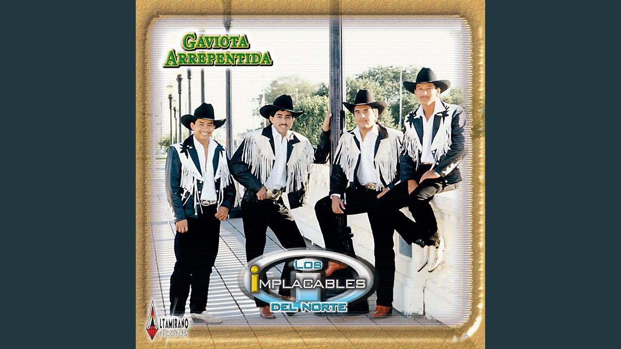 Gaviota Arrepentida