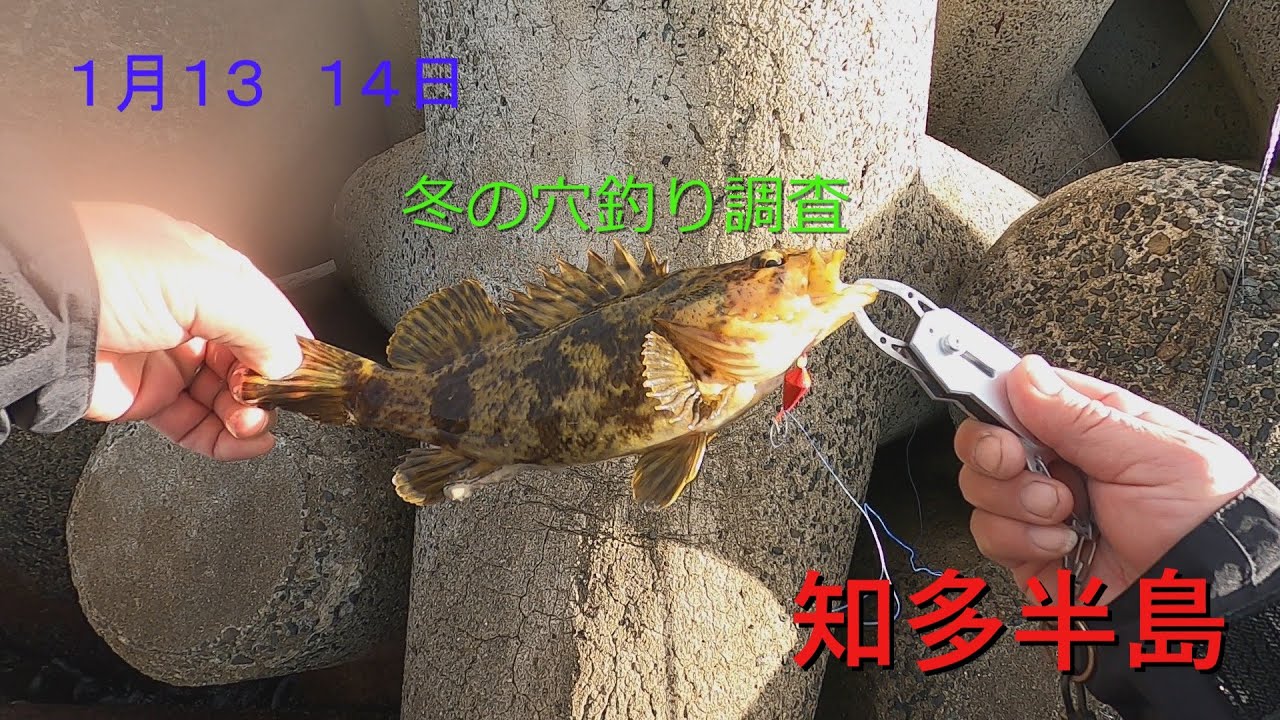 知多半島穴釣り調査
