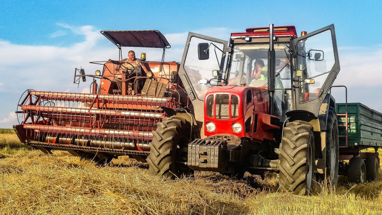Polskie Żniwa 2020!! Bizon z056 & Ursus 1734||Agro Zetor Śląsk