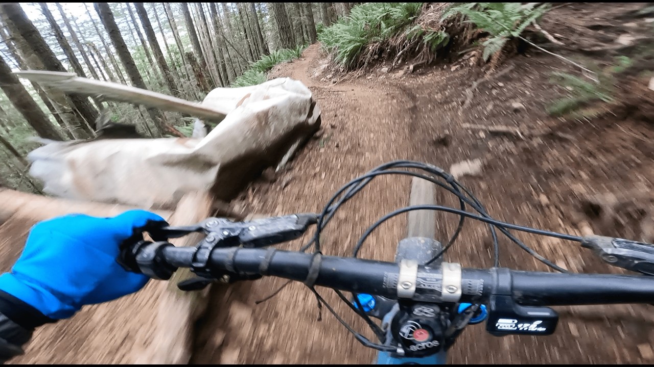 Finding the Hidden Airplane Jump at Exit 27, Mayday #mtb #downhill #mtblife