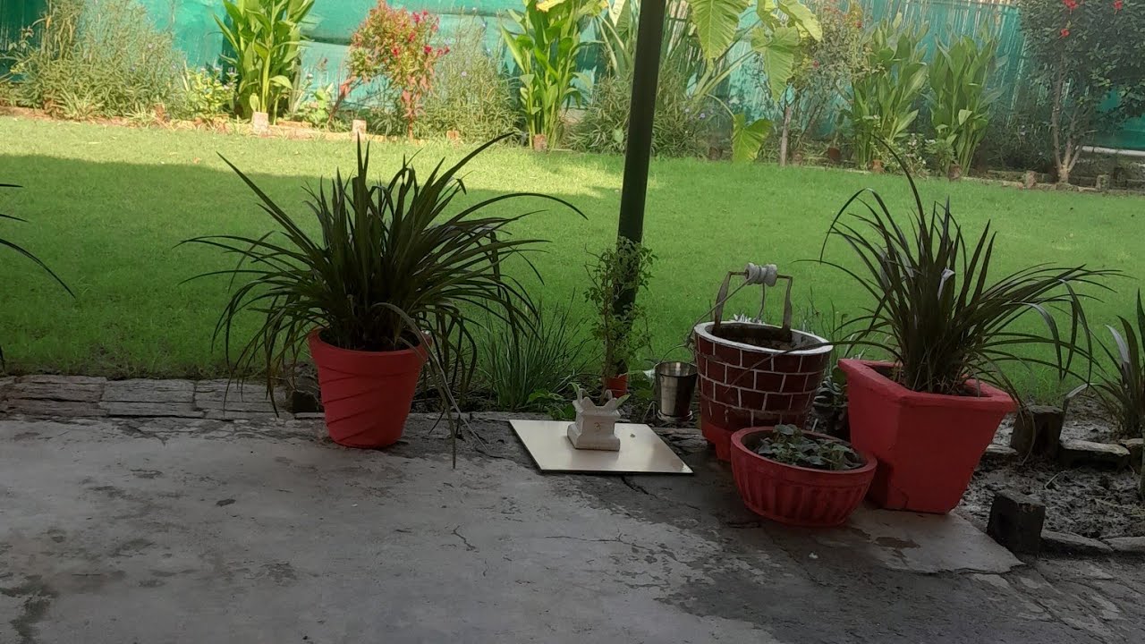 Fun & gardening update day - 1