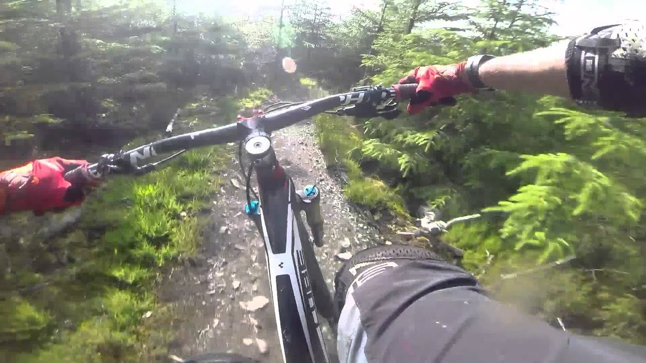 Davagh Forest Mountain Bike Trails, Northern Ireland, July 2014