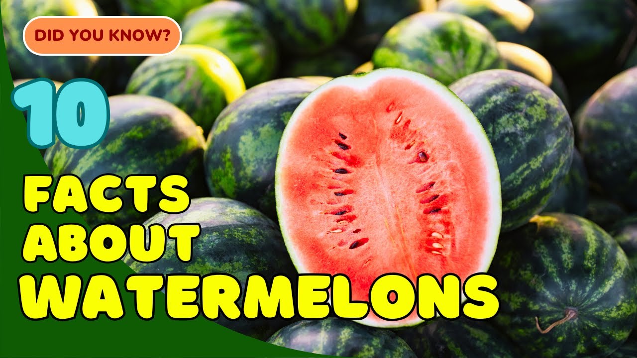 10 Juicy Facts About Watermelons You Didn&rsquo;t Know! 🍉