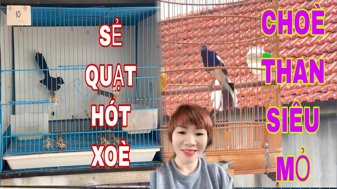 SẺ QUẠT HÓT XOÈ~CHOÈ THAN SIÊU MỎ#emphuongchimcanh#ketnoidamme#thinhhanh#choethanhotgiongrung#