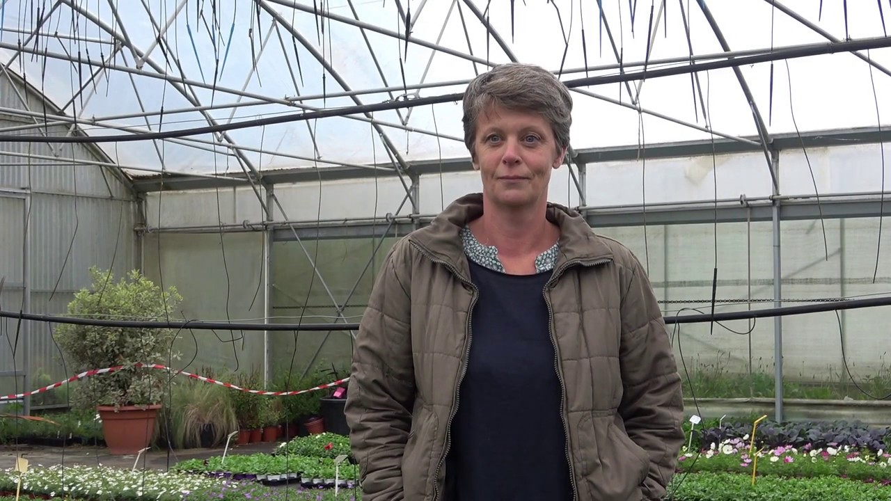 Découvrez le CAPa MA - Métiers de l’Agriculture option Horticulture en apprentissage