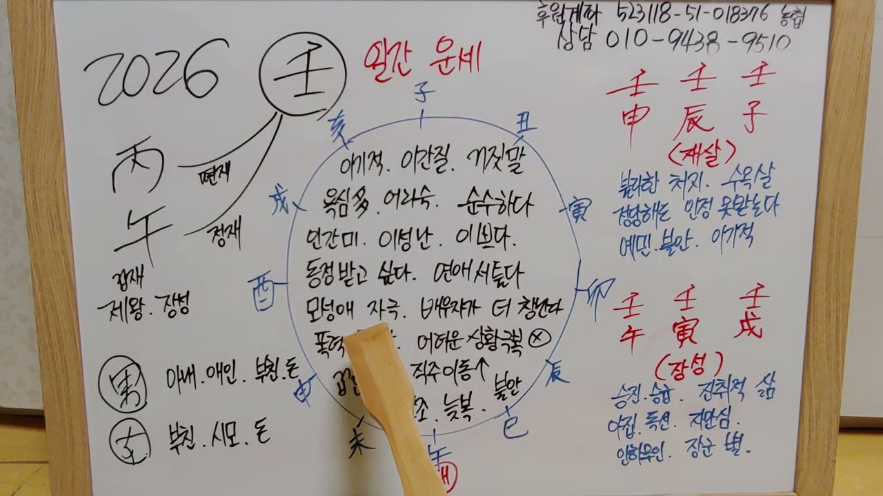 2026병오년 임 일간 운세