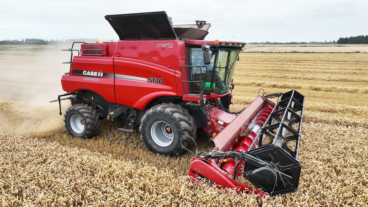Case IH 5130 Axial-Flow Harvesting Wheat | Wheat Harvest 2025