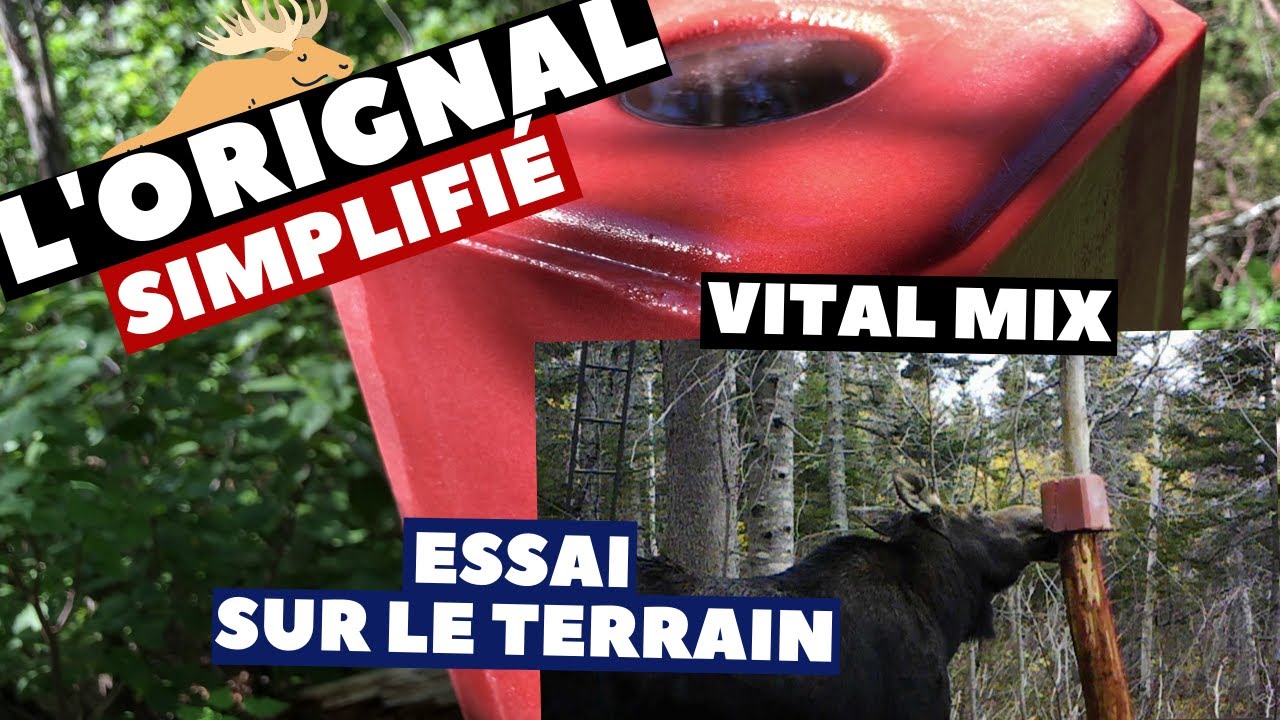 Installation d'une saline haute et on test VITAL MIX de la ferme Monette | Orignal simplifié