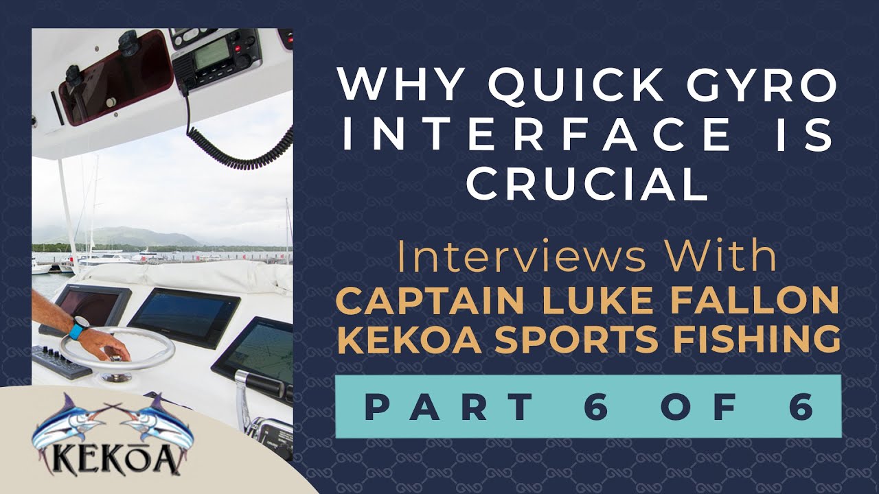 Why Quick Gyro network interface is crucial?