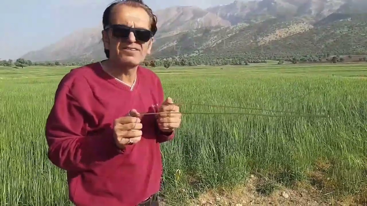 پارت 8: دازینگ در دشتهای مسطح | پیدا کردن آب، فلز، اشیای پنهان با قدرت دازینگ