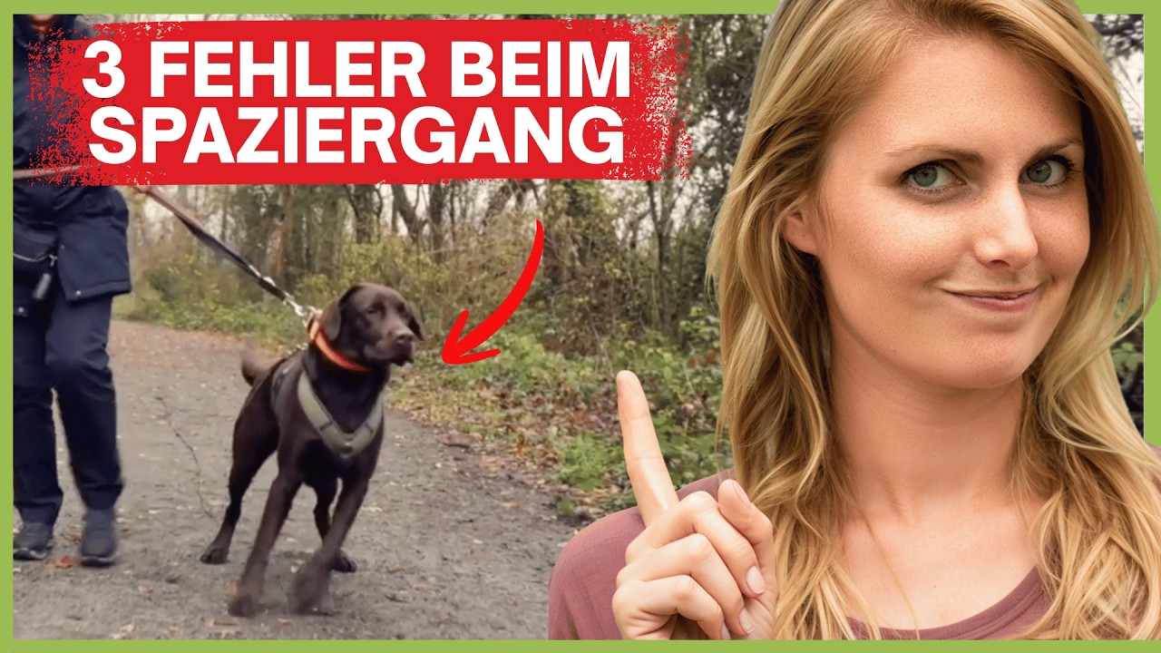 3 Fehler, die fast jeder beim Spazierengehen macht - Du auch?