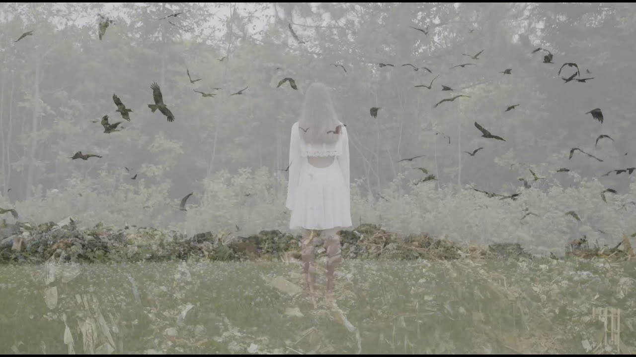 Set Me on Fire (Official Music Video)