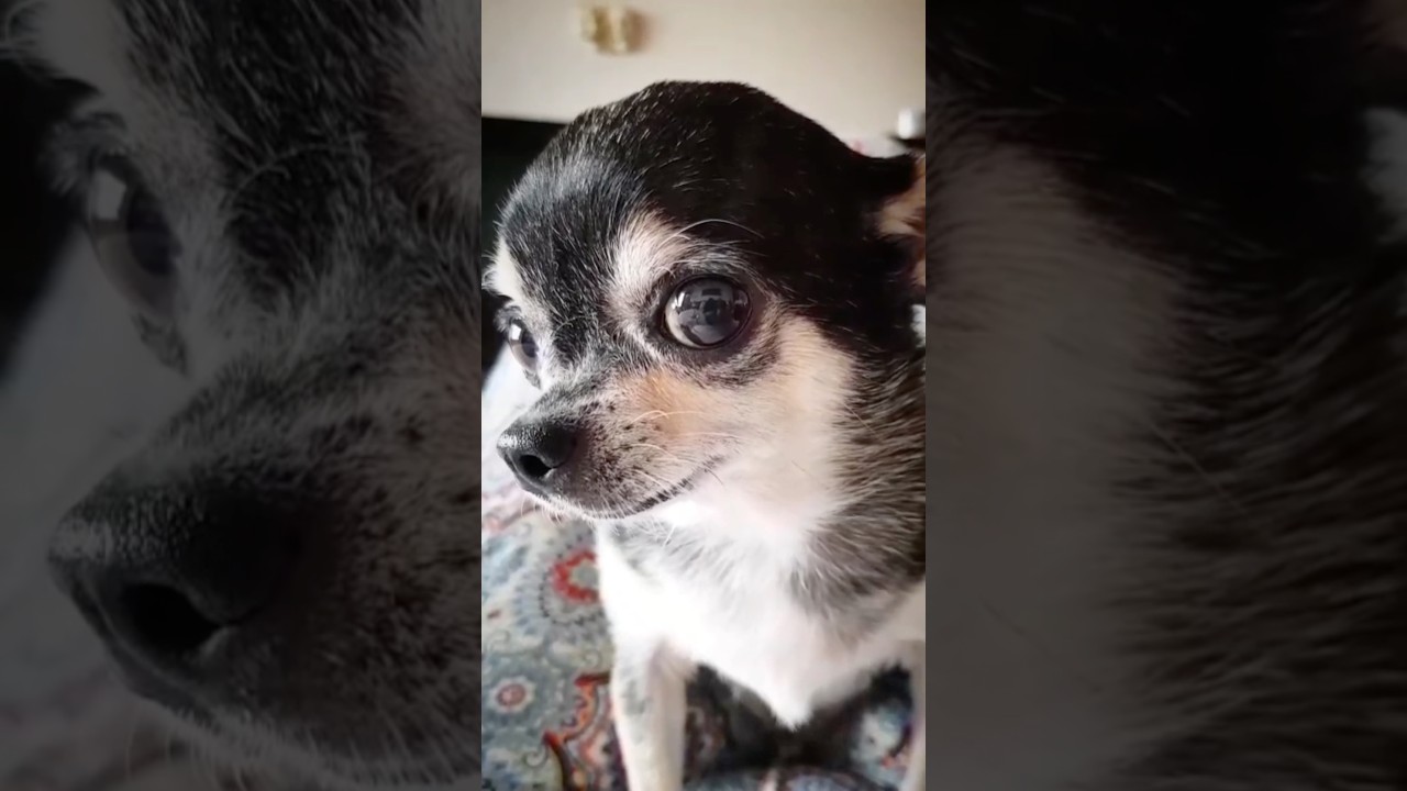СтесНяшка ЖуЖу! ❤️