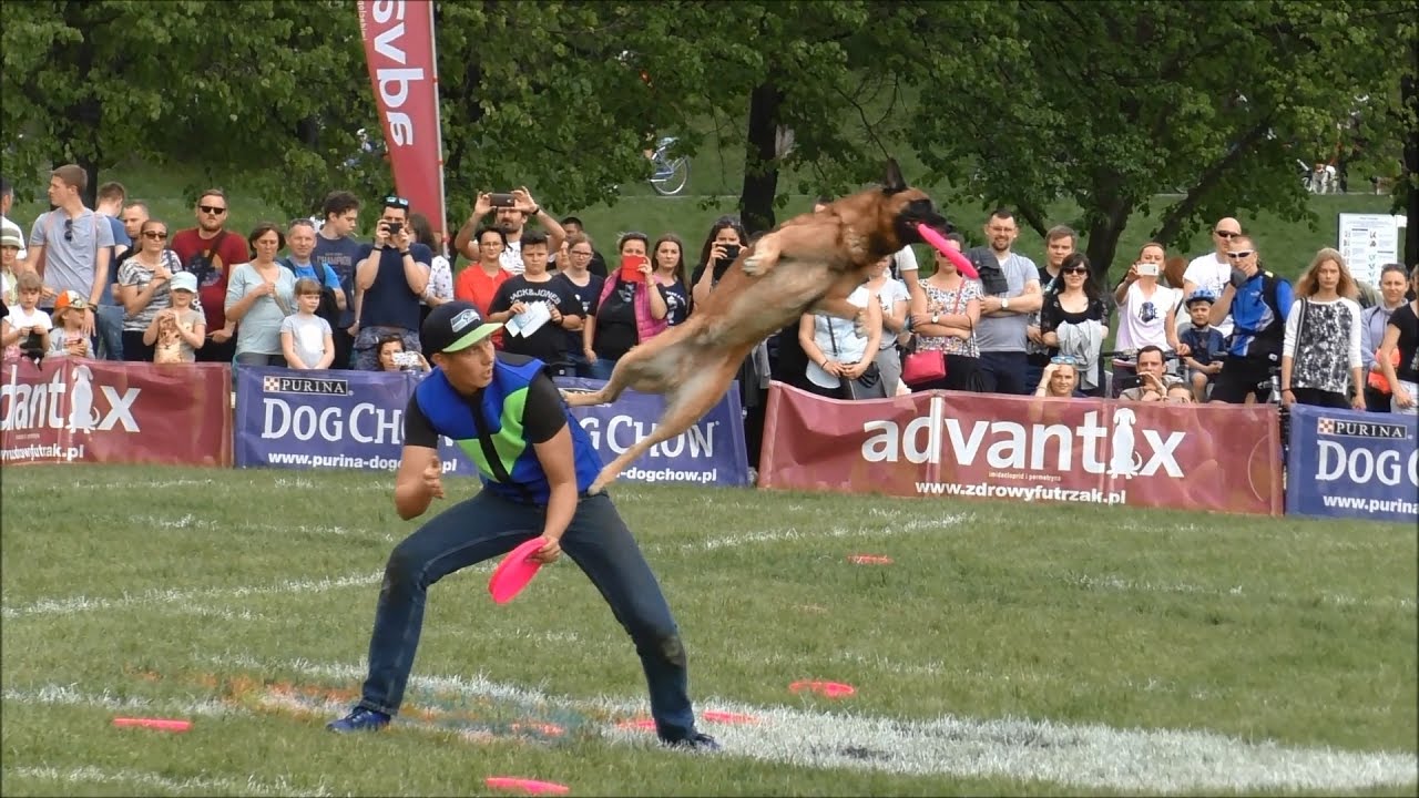 Thomas Fischer & Bolle:  Flying Disc Freestyle
