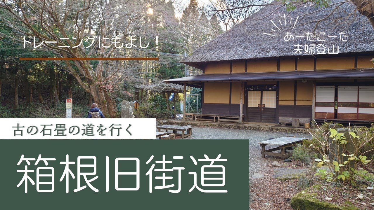 【箱根旧街道　石畳の道】22年12月歴史散歩＆トレーニング　【夫婦登山】【登山】【ハイキング】