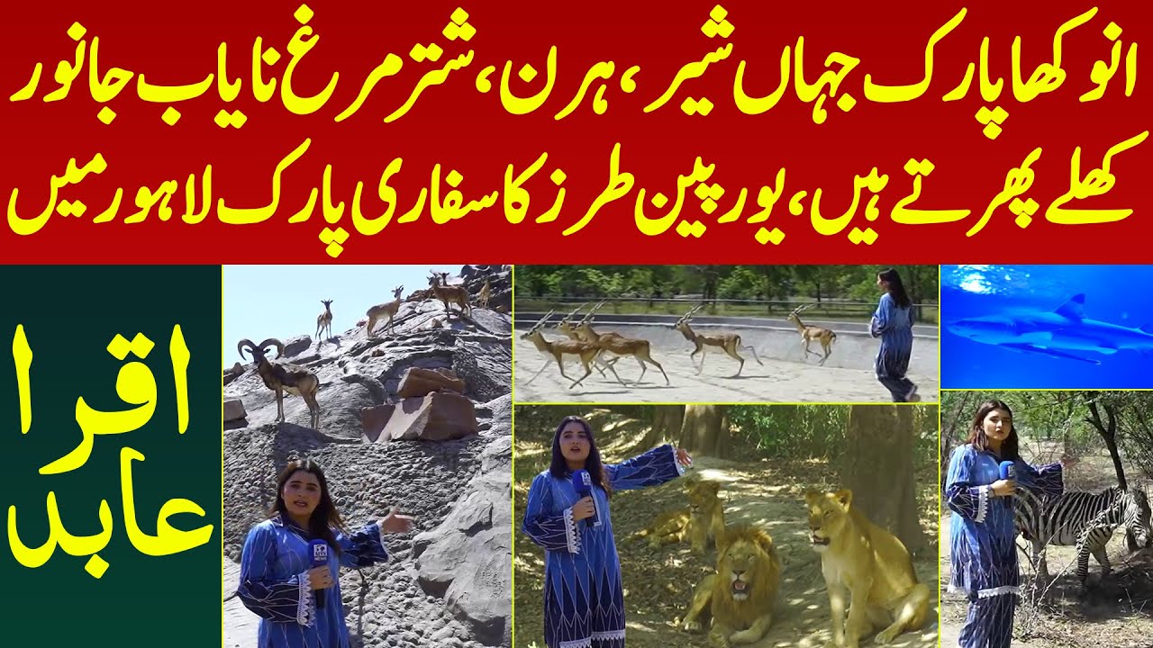 Safari Park Zoo Jaha Janwar Khule Phirte Jungle Ka Mahool European Tarz Ka Park Lahore Me| Iqra Abid