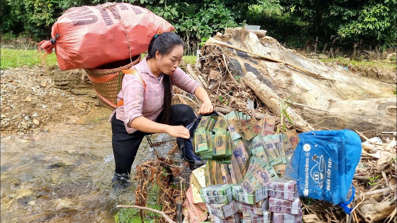 A scrap collector found a large sum of money buried in an abandoned landfill.